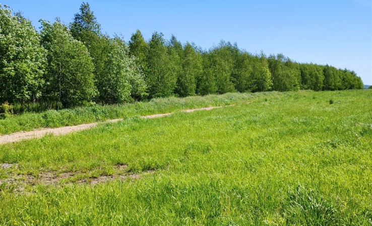 działka na sprzedaż - Stare Bogaczowice, Cieszów