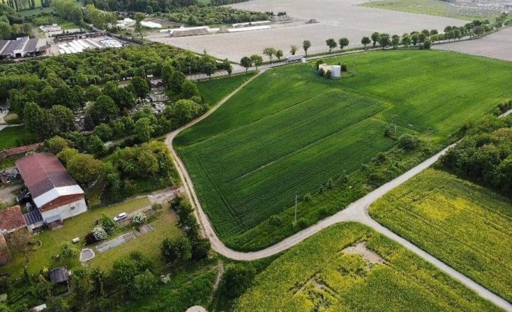 działka na sprzedaż - Świdnica (gw), Mokrzeszów