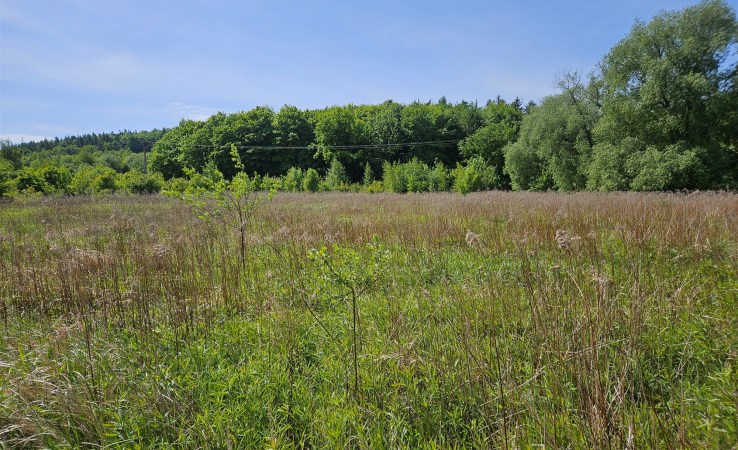 działka na sprzedaż - Świebodzice